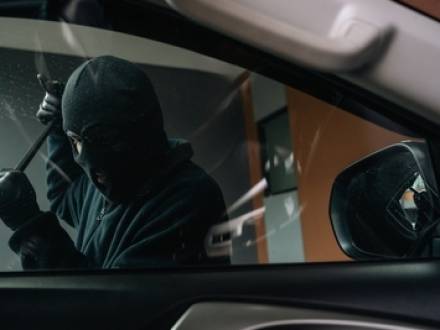 MD exotic car expert